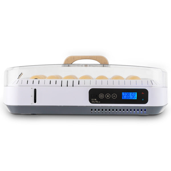 American Standard Incubator, Automatic Temperature Control And Wet Flipping Of Eggs According To Demand