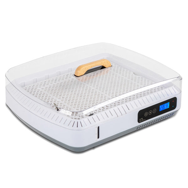 American Standard Incubator, Automatic Temperature Control And Wet Flipping Of Eggs According To Demand