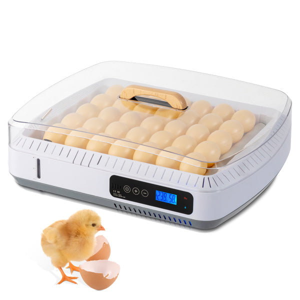 American Standard Incubator, Automatic Temperature Control And Wet Flipping Of Eggs According To Demand