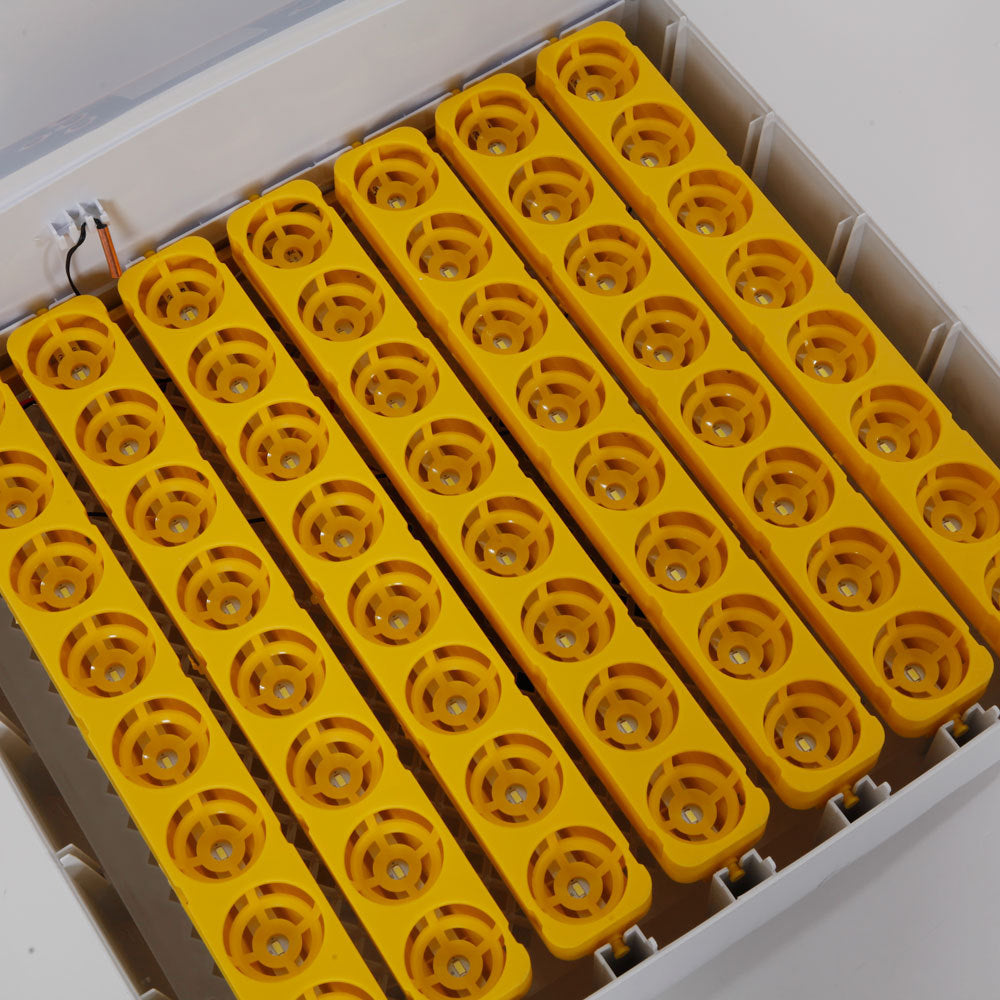 56pcs Poultry Automatic LED Incubator, Egg Setter - American Standard