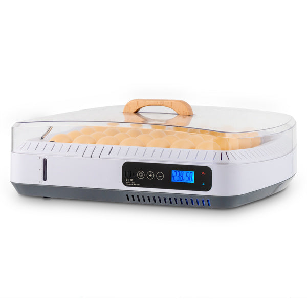 American Standard Incubator, Automatic Temperature Control And Wet Flipping Of Eggs According To Demand