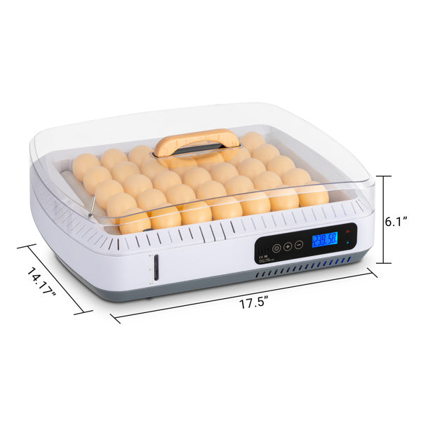 American Standard Incubator, Automatic Temperature Control And Wet Flipping Of Eggs According To Demand