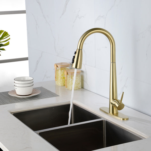 Kitchen Faucet With Pull-down Spray