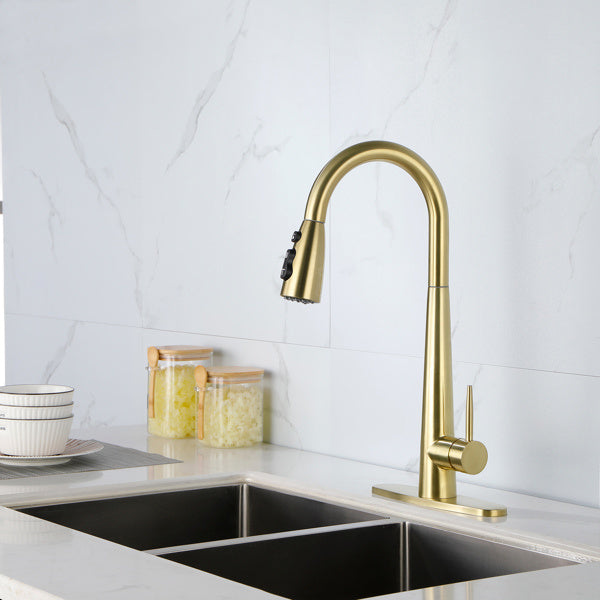 Kitchen Faucet With Pull-down Spray