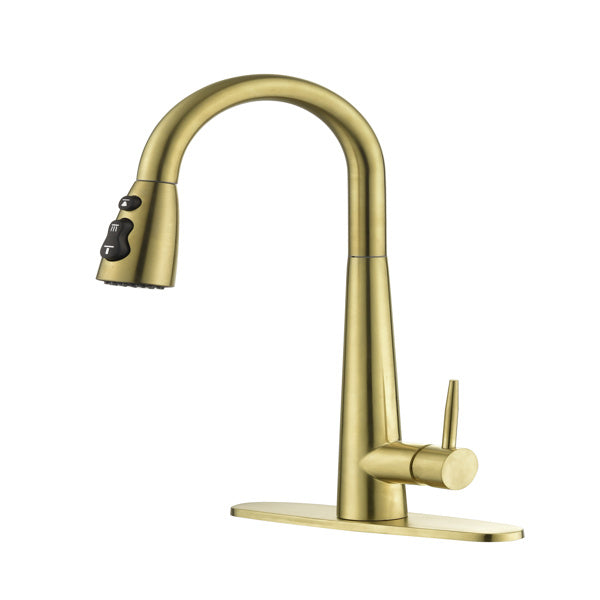 Kitchen Faucet With Pull-down Spray