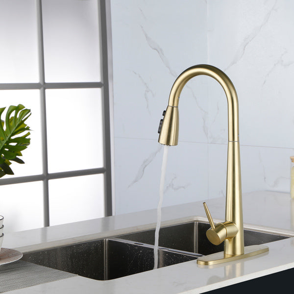 Kitchen Faucet With Pull-down Spray